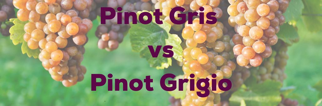 Pinot Gris vs Pinot Grigio