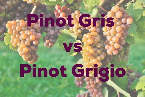 Pinot Gris vs Pinot Grigio